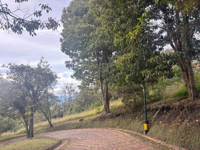 Lote en venta en Yerbabuena, Chía, 5000 m² · foto 3 de 12