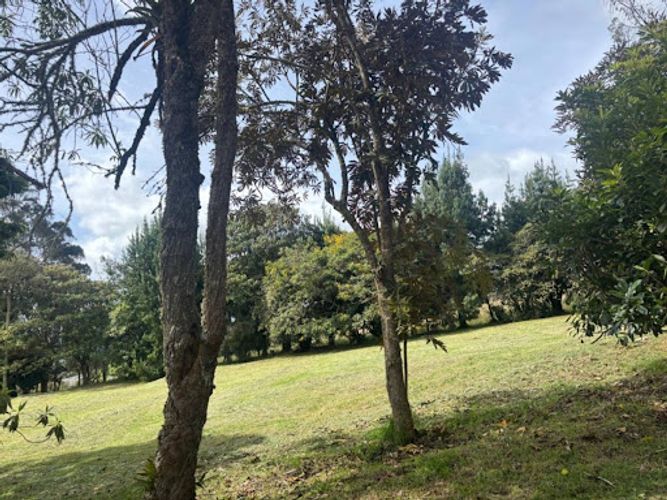 Lote en venta en Yerbabuena, Chía, 5000 m² · foto 5 de 12