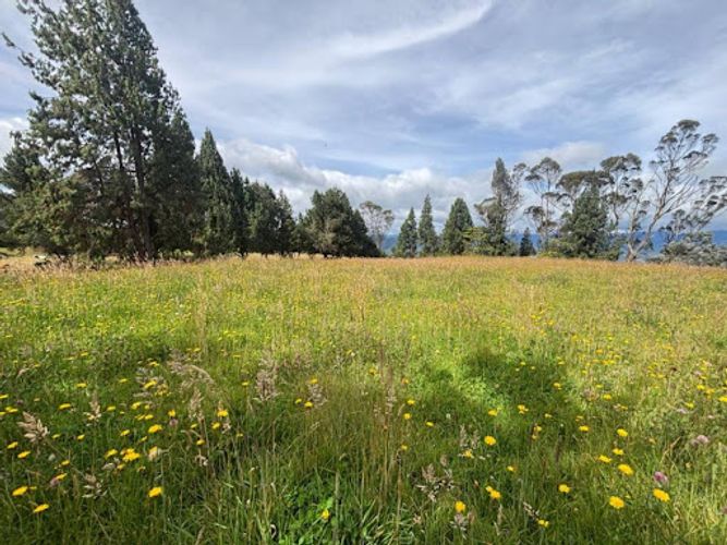 Lote en venta en Yerbabuena, Chía, 5000 m² · foto 6 de 12
