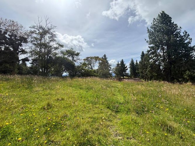 Lote en venta en Yerbabuena, Chía, 5000 m² · foto 7 de 12