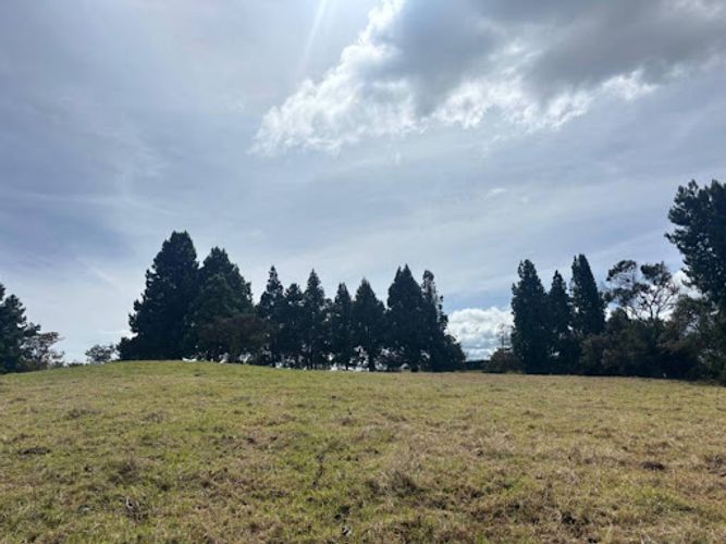 Lote en venta en Yerbabuena, Chía, 5000 m² · foto 8 de 12