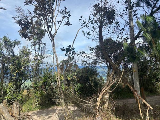 Lote en venta en Yerbabuena, Chía, 5000 m² · foto 9 de 12