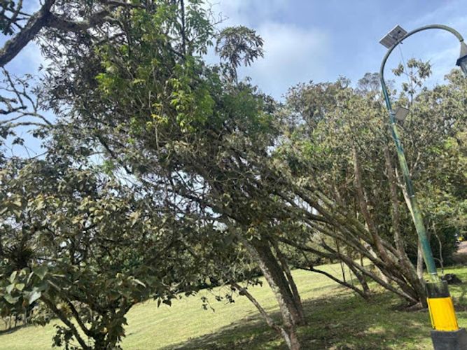 Lote en venta en Yerbabuena, Chía, 5000 m² · foto 10 de 12