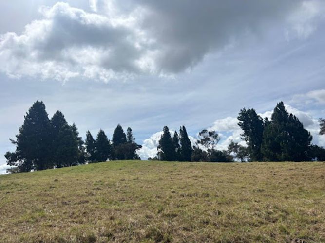 Lote en venta en Yerbabuena, Chía, 5000 m² · foto 11 de 12