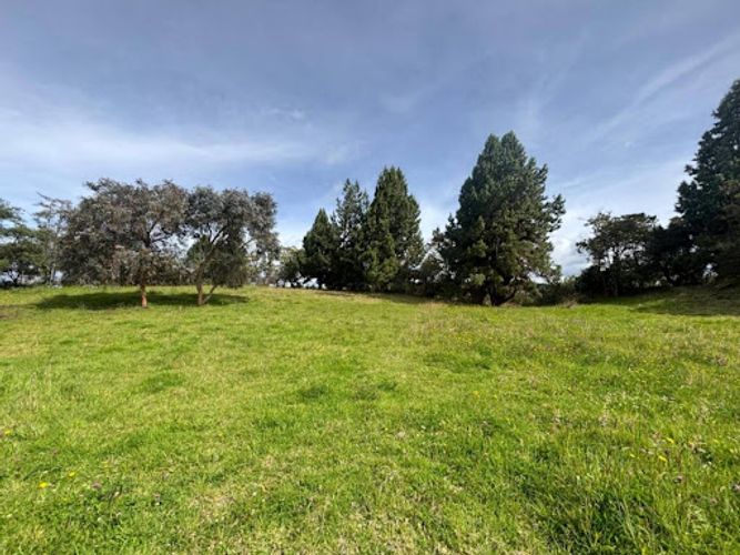 Lote en venta en Yerbabuena, Chía, 10003 m² · foto 3 de 6