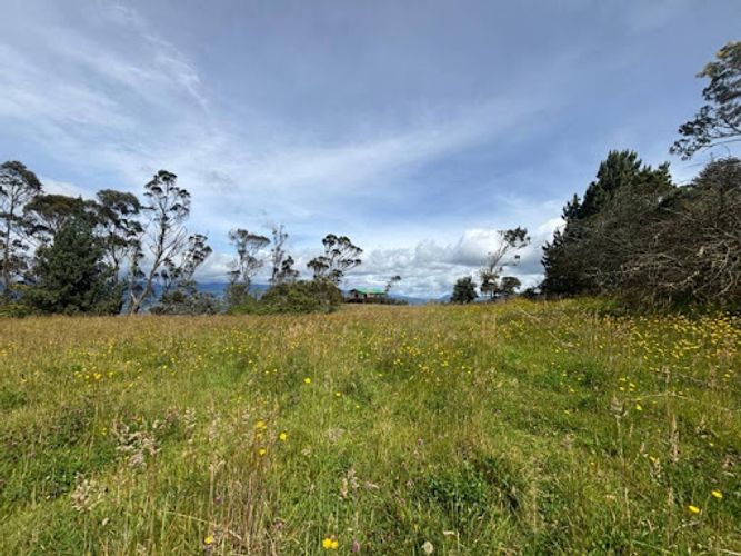 Lote en venta en Yerbabuena, Chía, 10003 m² · foto 4 de 6