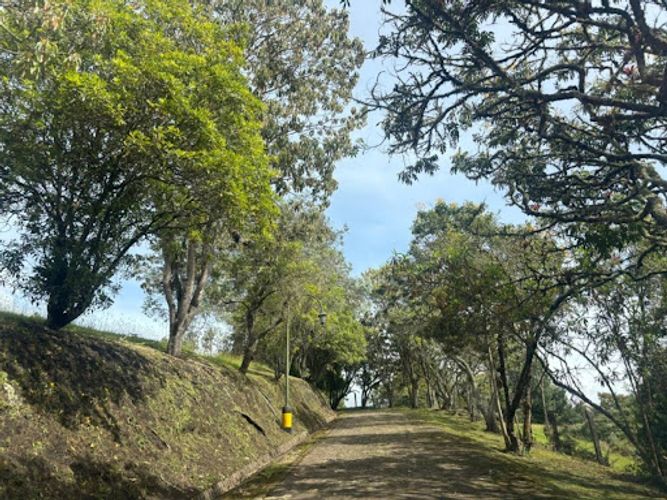 Lote en venta en Yerbabuena, Chía, 10003 m² · foto 5 de 6