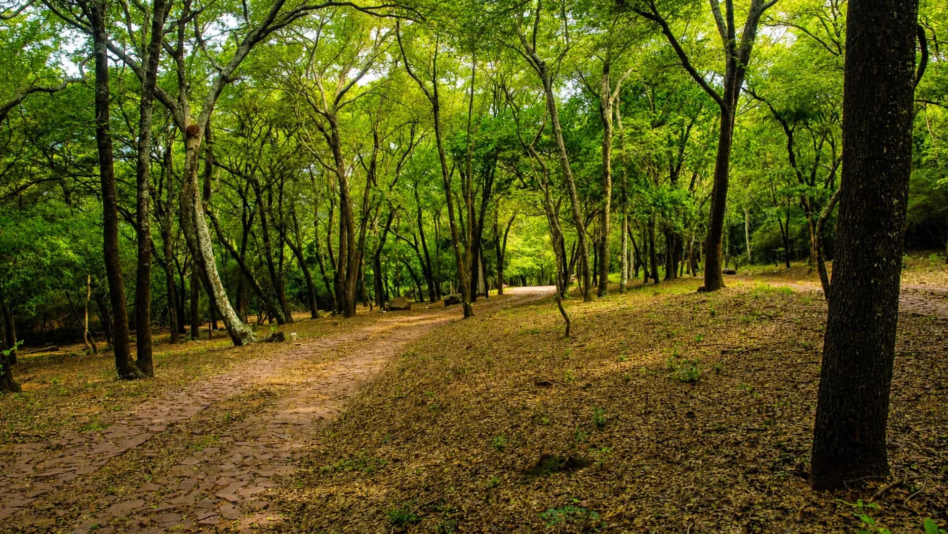 Terrenos en Venta, Barrio Cerrado PARQUEALTO, Ypacaraí, Financiación Propia y Vista al Lago - foto 4