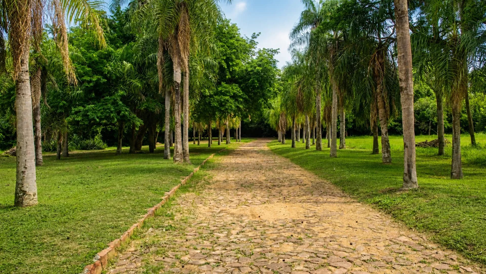 Terrenos en Venta, Barrio Cerrado PARQUEALTO, Ypacaraí, Financiación Propia y Vista al Lago - foto 3