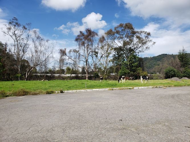 Lote en venta en Siberia, Cota, 19056 m² · foto 15 de 22