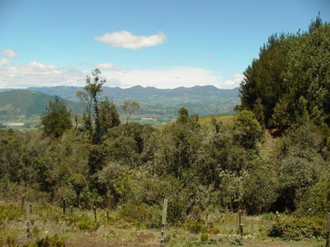 Lote en venta en Montana, Sopó, 7058 m² · foto 3 de 21