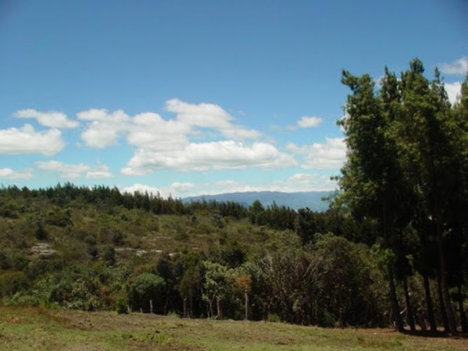 Lote en venta en Montana, Sopó, 7058 m² · foto 12 de 21