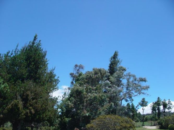 Lote en venta en Montana, Sopó, 7058 m² · foto 15 de 21