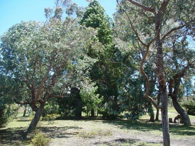 Lote en venta en Montana, Sopó, 7058 m² · foto 16 de 21