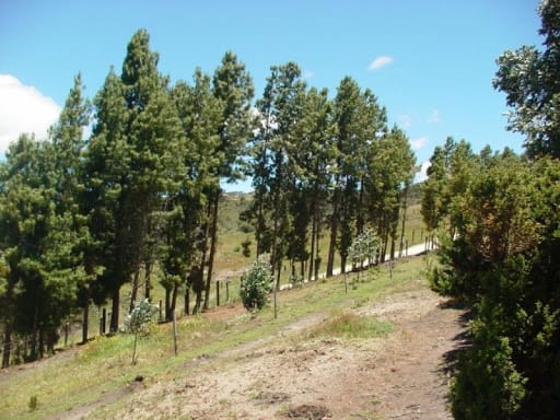 Lote en venta en Montana, Sopó, 7058 m² · foto 18 de 21