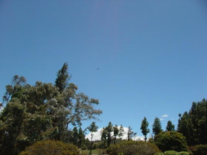 Lote en venta en Montana, Sopó, 7058 m² · foto 19 de 21