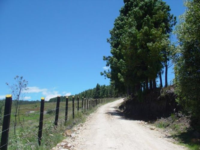 Lote en venta en San Gabriel, La Calera, 5163 m² · foto 7 de 20
