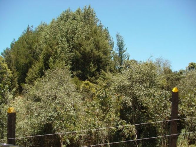 Lote en venta en San Gabriel, La Calera, 5163 m² · foto 9 de 20