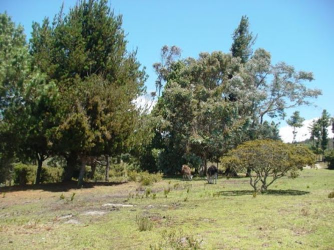 Lote en venta en Montana, Sopó, 5792 m² · foto 9 de 19