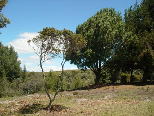 Lote en venta en Montana, Sopó, 5792 m² · foto 11 de 19