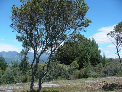 Lote en venta en Montana, Sopó, 5792 m² · foto 18 de 19