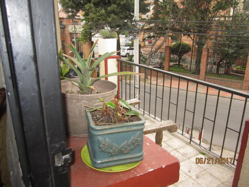 Casa en venta en Palermo, Bogotá · foto 8 de 20