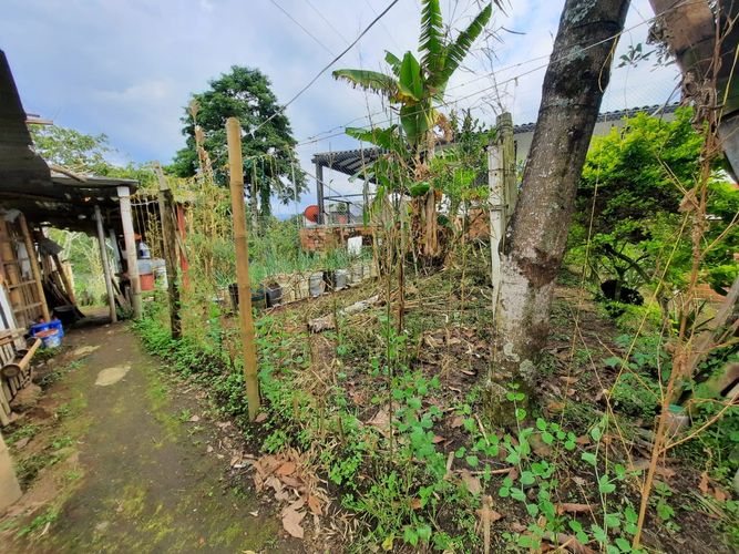 Finca en venta en San Jose Sur, Pereira, 985 m² · foto 14 de 17