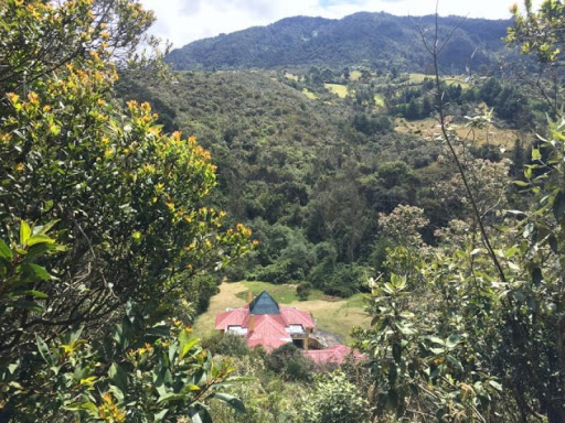 Casa en venta en El Salitre, La Calera · foto 6 de 10