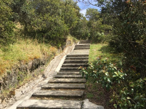 Casa en venta en El Salitre, La Calera · foto 10 de 10