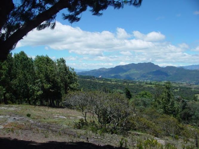 Lote en venta en Centro, Sopó, 8154 m² · foto 11 de 21