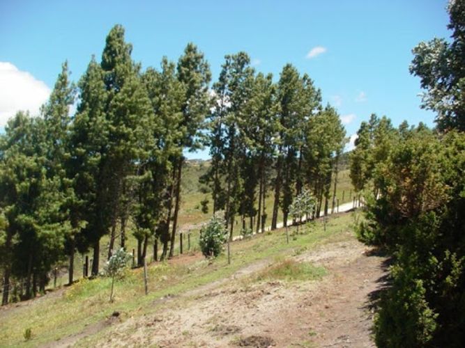 Lote en venta en Centro, Sopó, 8154 m² · foto 13 de 21