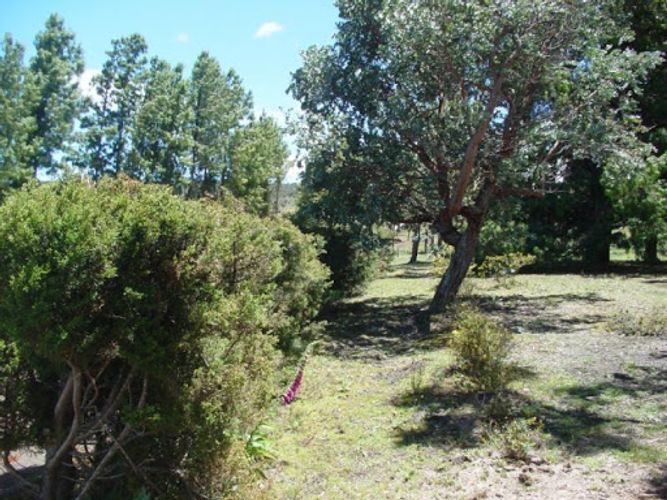 Lote en venta en Centro, Sopó, 8154 m² · foto 16 de 21