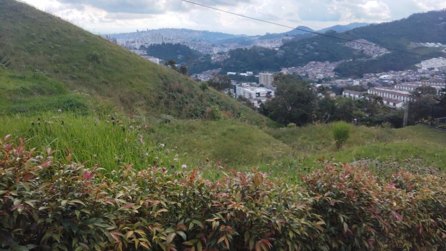 Lote en venta en Cerro De Oro, Manizales, 462 m² · foto 3 de 15