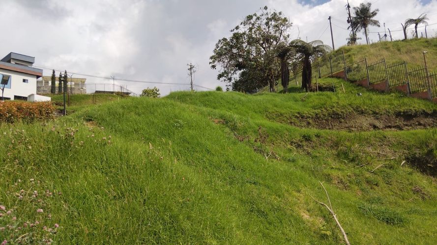 Lote en venta en Cerro De Oro, Manizales, 462 m² · foto 7 de 15