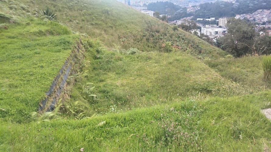 Lote en venta en Cerro De Oro, Manizales, 462 m² · foto 10 de 15