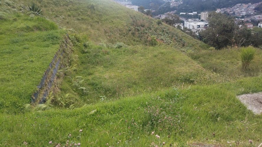 Lote en venta en Cerro De Oro, Manizales, 462 m² · foto 8 de 15