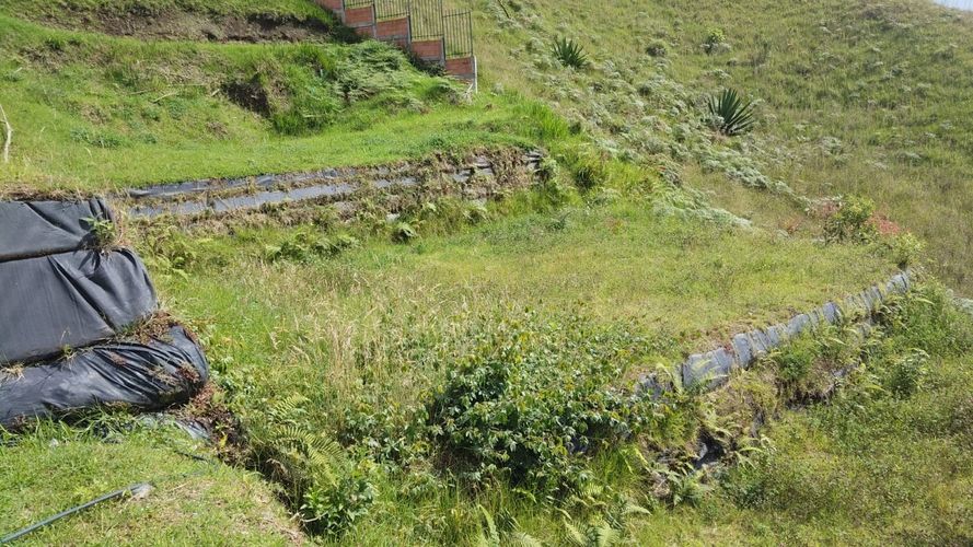 Lote en venta en Cerro De Oro, Manizales, 462 m² · foto 4 de 15