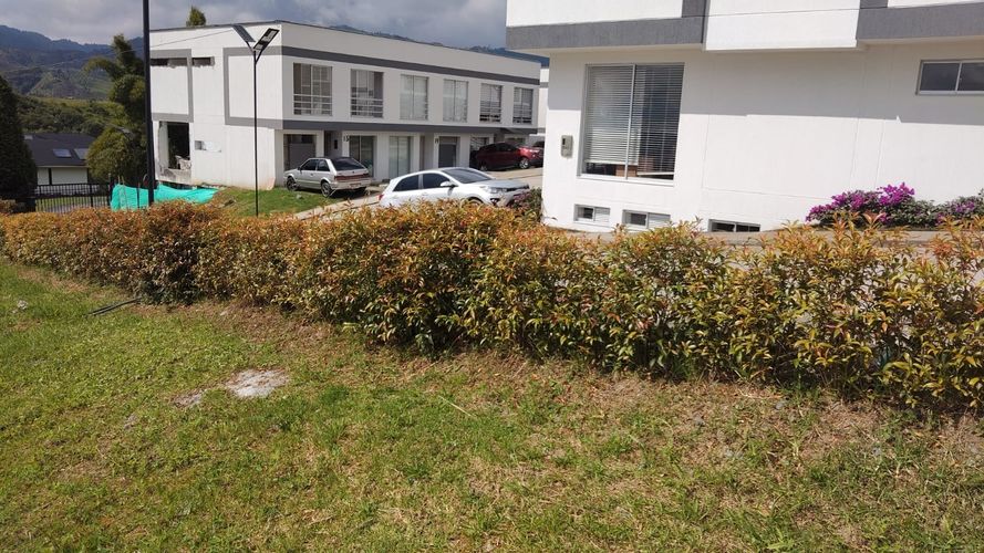 Lote en venta en Cerro De Oro, Manizales, 462 m² · foto 11 de 15