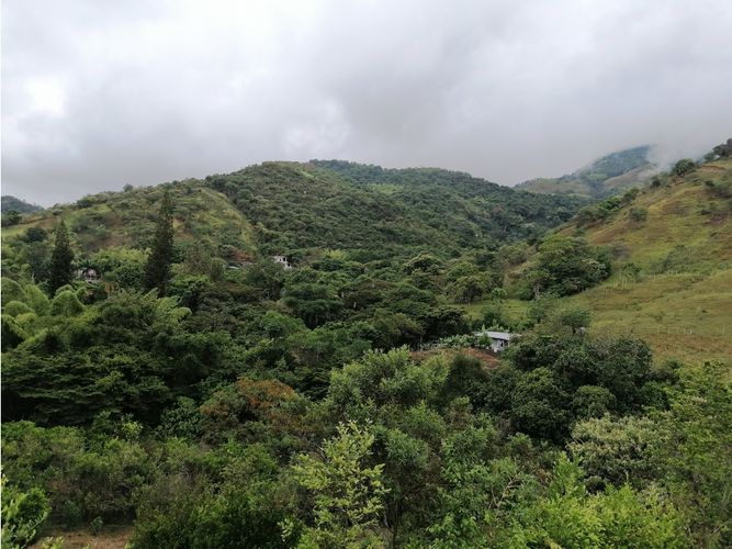 Lote en venta en Ayacucho - La Buitrera, Palmira, 19594 m² · foto 7 de 24