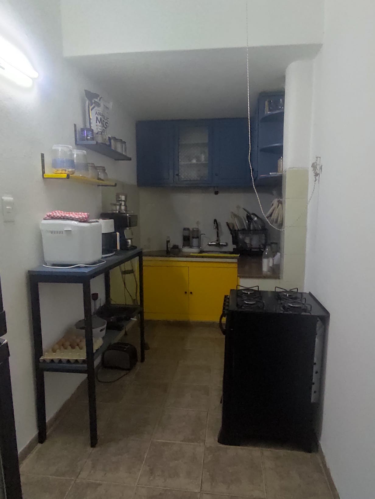 Alquiler Apto 2 Dormitorios Con Patio Parque Rodo · Foto 11
