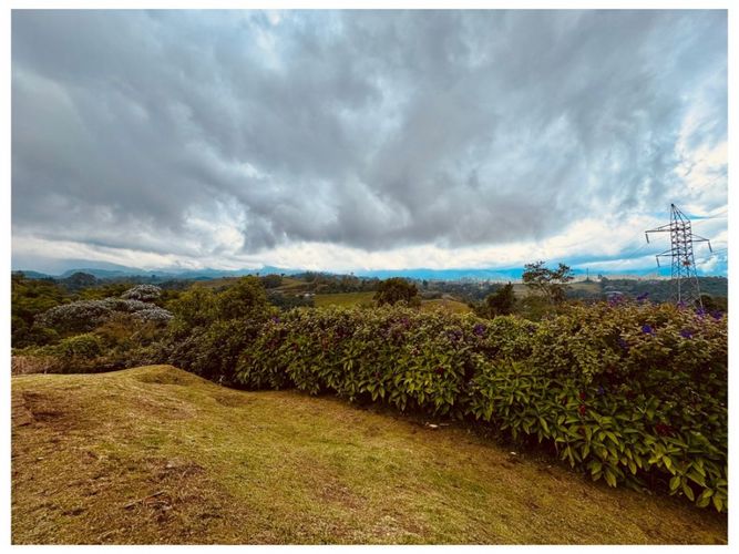 Finca en venta en Condina, Pereira, 1100 m² · foto 4 de 16