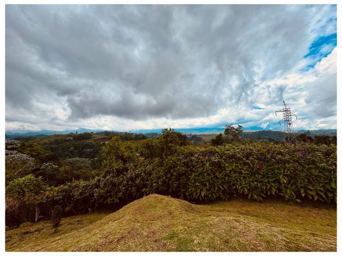 Finca en venta en Condina, Pereira, 1100 m² · foto 6 de 16