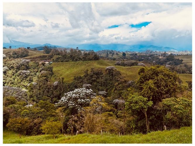 Finca en venta en Condina, Pereira, 1100 m² · foto 13 de 16