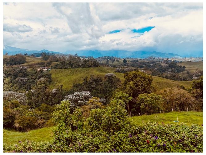 Finca en venta en Condina, Pereira, 1100 m² · foto 14 de 16