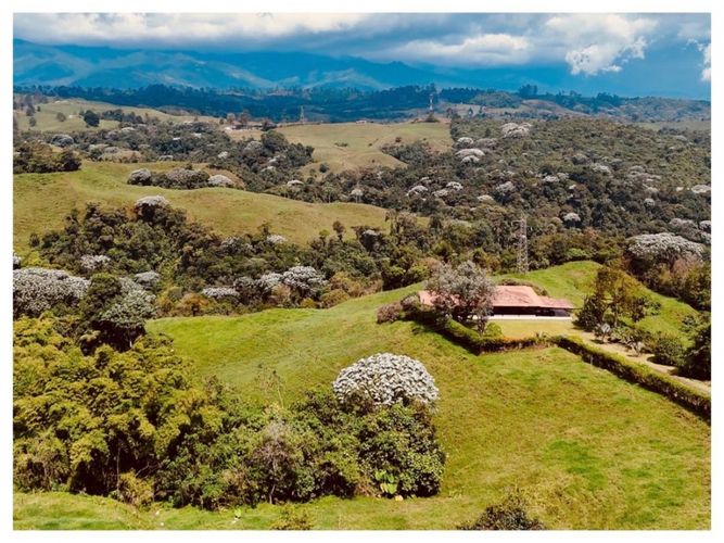 Finca en venta en Condina, Pereira, 1100 m² · foto 15 de 16