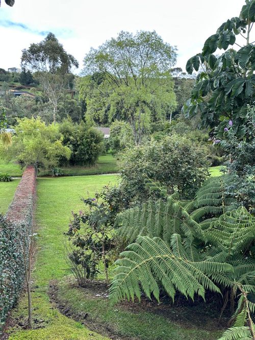 Lote en venta en Pantanillo, El Retiro, 2004 m² · foto 15 de 24