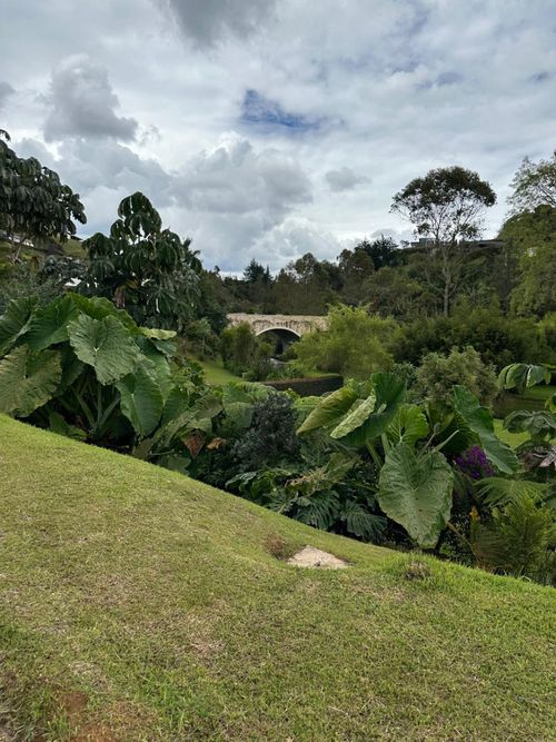 Lote en venta en Pantanillo, El Retiro, 2004 m² · foto 18 de 24