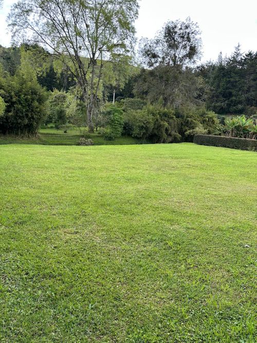 Lote en venta en Pantanillo, El Retiro, 2004 m² · foto 19 de 24
