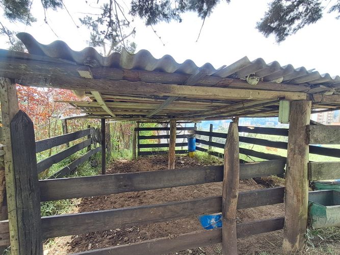 Casa de 4 alcobas en venta en La Mina, Envigado · foto 3 de 24