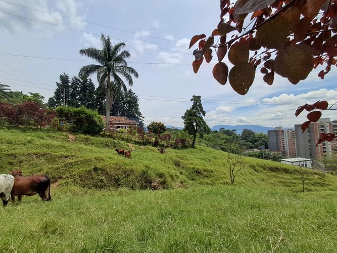 Casa de 4 alcobas en venta en La Mina, Envigado · foto 4 de 24